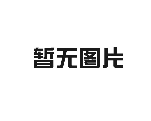 进口装载机秤和国内汽车装载机秤哪个好用？